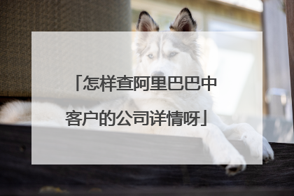 怎样查阿里巴巴中客户的公司详情呀