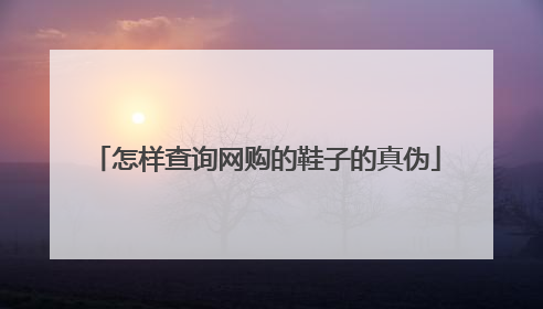 怎样查询网购的鞋子的真伪