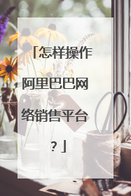 怎样操作阿里巴巴网络销售平台?