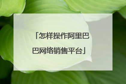 怎样操作阿里巴巴网络销售平台