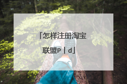 怎样注册淘宝联盟P丨d