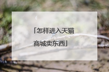 怎样进入天猫商城卖东西