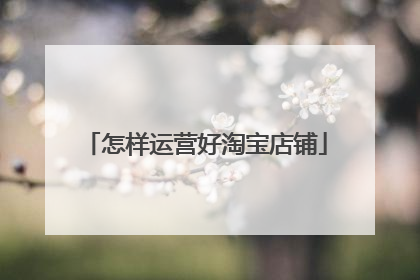 怎样运营好淘宝店铺