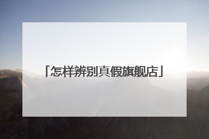 怎样辨别真假旗舰店