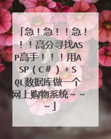 急!急!!急!!!高分寻找ASP高手!!!用ASP(C#)+SQL数据库做一个网上购物系统~~~