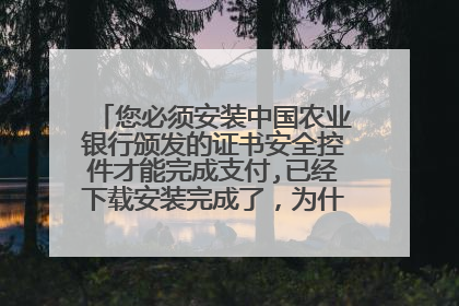 您必须安装中国农业银行颁发的证书安全控件才能完成支付,已经下载安装完成了,为什么还是进不去,急