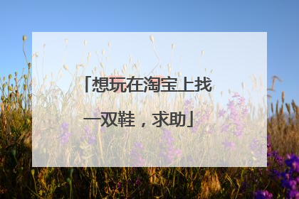 想玩在淘宝上找一双鞋,求助