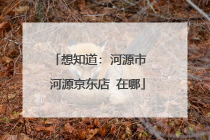 想知道: 河源市 河源京东店 在哪