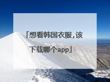想看韩国衣服,该下载哪个app