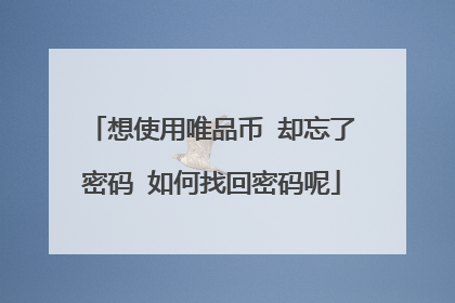 想使用唯品币 却忘了密码 如何找回密码呢
