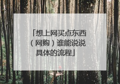 想上网买点东西(网购)谁能说说具体的流程