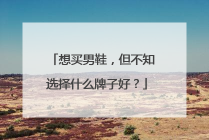 想买男鞋,但不知选择什么牌子好?