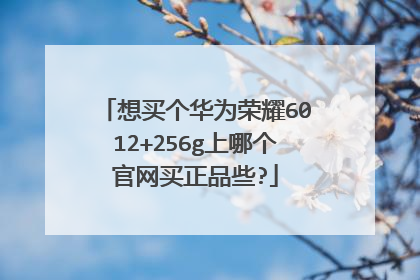 想买个华为荣耀6012+256g上哪个官网买正品些?