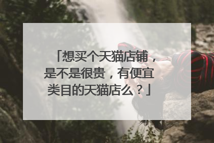 想买个天猫店铺,是不是很贵,有便宜类目的天猫店么?