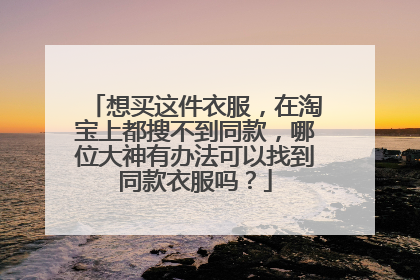 想买这件衣服,在淘宝上都搜不到同款,哪位大神有办法可以找到同款衣服吗?