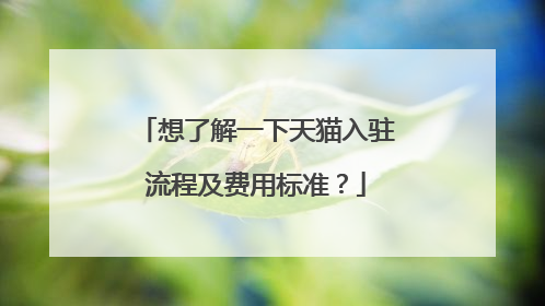 想了解一下天猫入驻流程及费用标准?
