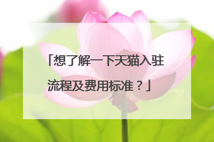 想了解一下天猫入驻流程及费用标准?