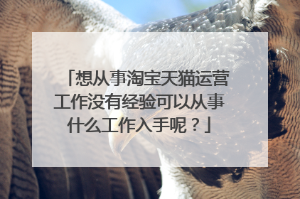 想从事淘宝天猫运营工作没有经验可以从事什么工作入手呢?
