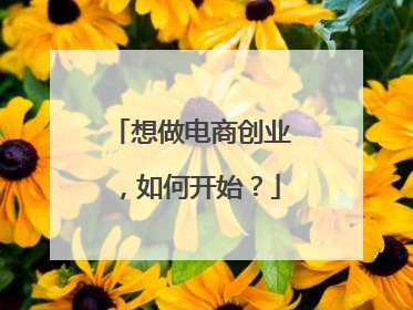 想做电商创业,如何开始?
