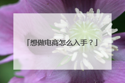 想做电商怎么入手?