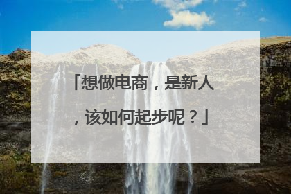 想做电商,是新人,该如何起步呢?