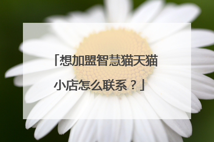 想加盟智慧猫天猫小店怎么联系？