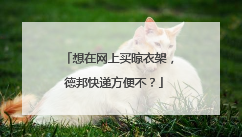 想在网上买晾衣架,德邦快递方便不?