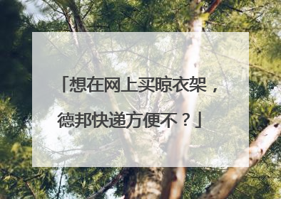 想在网上买晾衣架,德邦快递方便不?