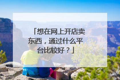 想在网上开店卖东西,通过什么平台比较好?