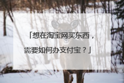 想在淘宝网买东西，需要如何办支付宝？