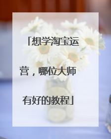 想学淘宝运营,哪位大师有好的教程