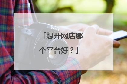 想开网店哪个平台好?