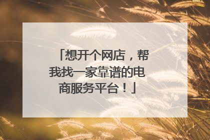 想开个网店,帮我找一家靠谱的电商服务平台!