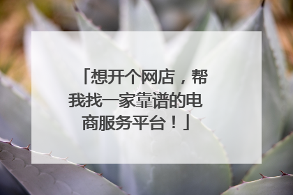 想开个网店，帮我找一家靠谱的电商服务平台！