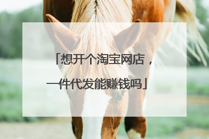 想开个淘宝网店,一件代发能赚钱吗