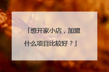 想开家小店，加盟什么项目比较好？