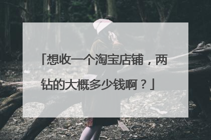 想收一个淘宝店铺,两钻的大概多少钱啊?