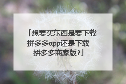 想要买东西是要下载拼多多αpp还是下载拼多多商家版?