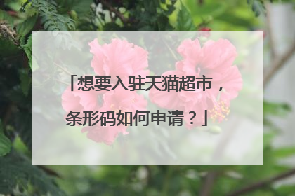 想要入驻天猫超市,条形码如何申请?