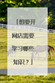 想要开网店需要学习哪些知识？