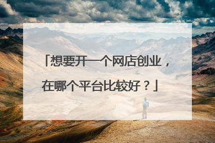 想要开一个网店创业,在哪个平台比较好?