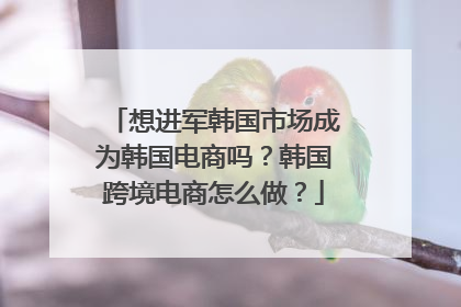 想进军韩国市场成为韩国电商吗?韩国跨境电商怎么做?