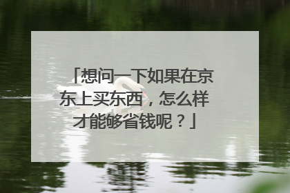想问一下如果在京东上买东西,怎么样才能够省钱呢?
