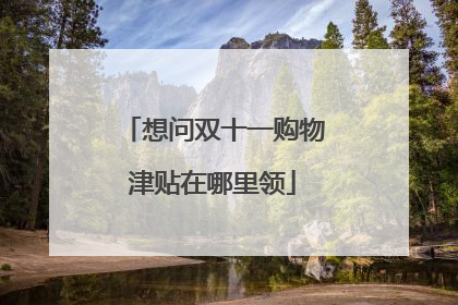 想问双十一购物津贴在哪里领