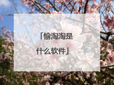 愉淘淘是什么软件