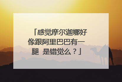 感觉摩尔迦娜好像跟阿里巴巴有一腿 是错觉么?