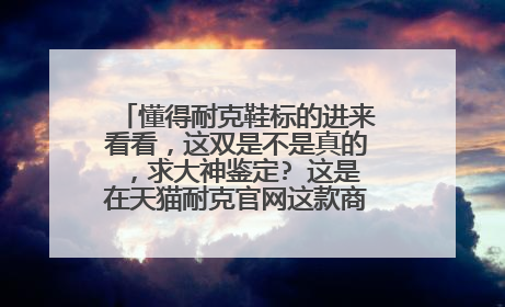 懂得耐克鞋标的进来看看,这双是不是真的,求大神鉴定? 这是在天猫耐克官网这款商品的买家评论里面看