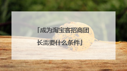 成为淘宝客招商团长需要什么条件