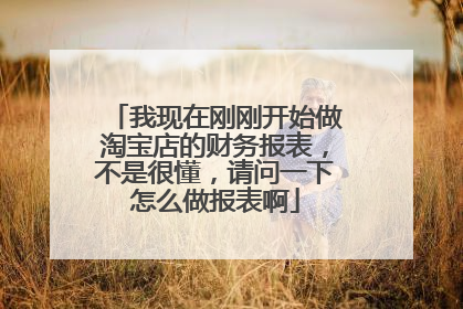 我现在刚刚开始做淘宝店的财务报表,不是很懂,请问一下怎么做报表啊