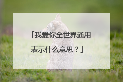我爱你全世界通用表示什么意思?